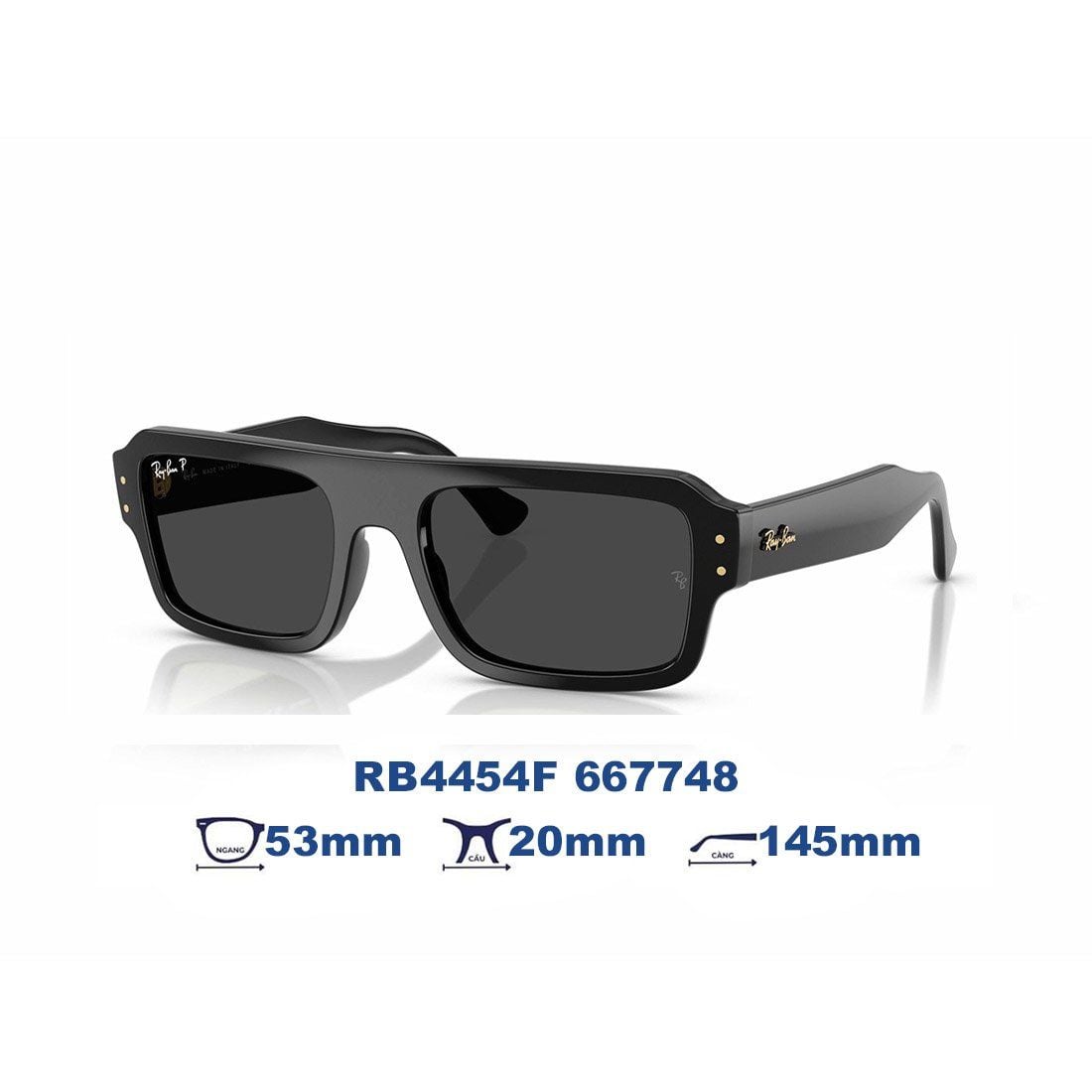  Kính mát RAYBAN RB4454F 667748 
