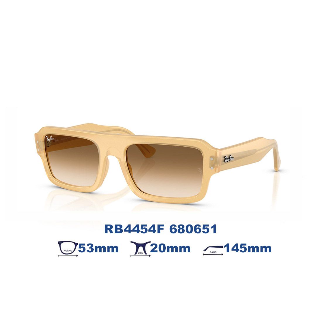  Kính mát RAYBAN RB4454F 680651 