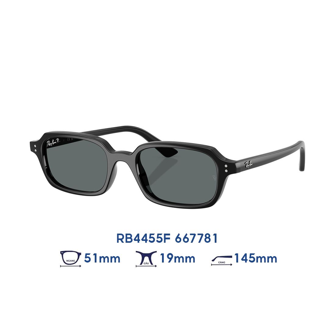  Kính mát RAYBAN RB4455F 667781 