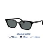  Kính mát RAYBAN RB4456F 667781 