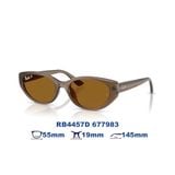 Kính mát RAYBAN RB4457D 677983