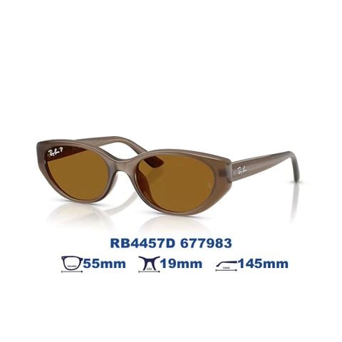 Kính mát RAYBAN RB4457D 677983