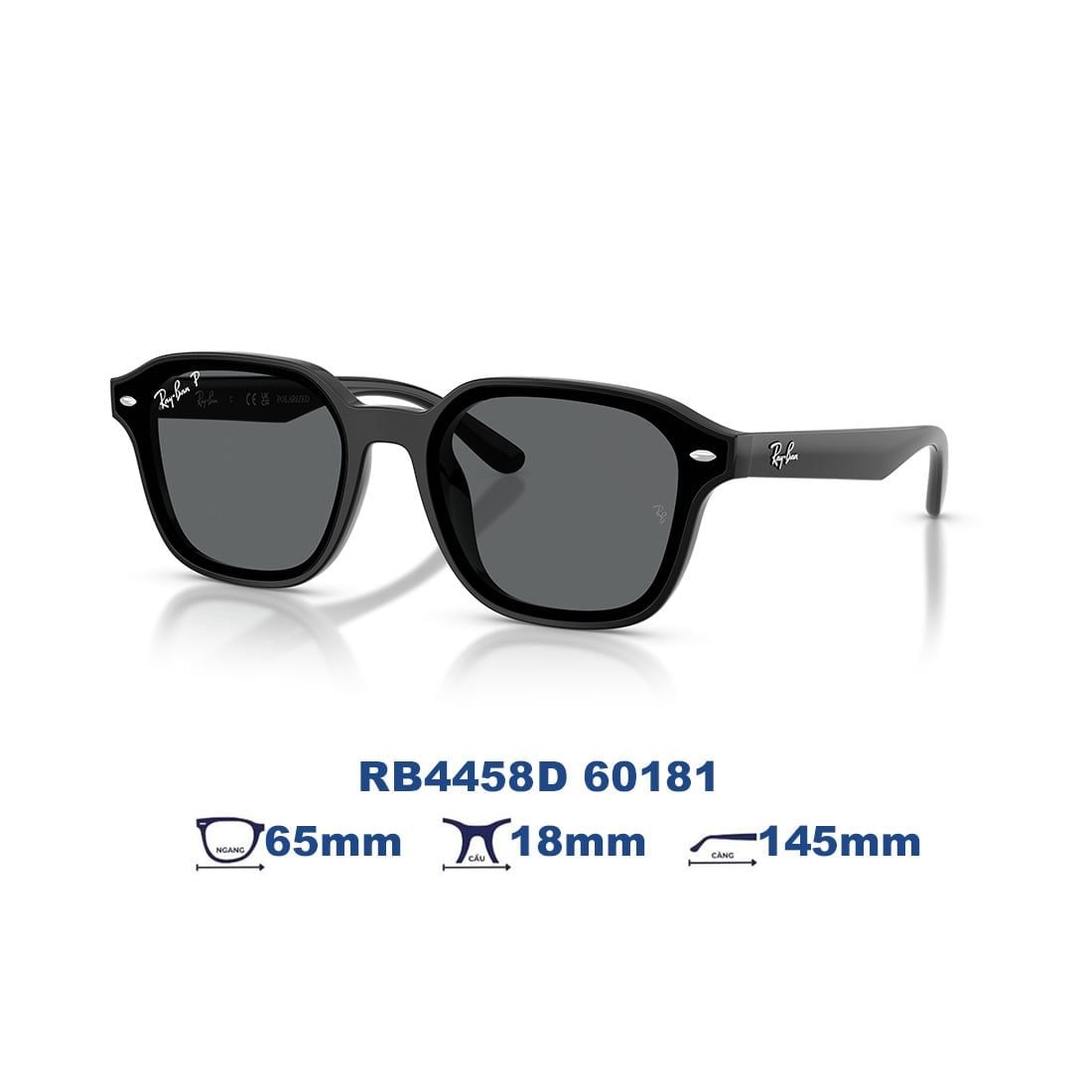  Kính mát RAYBAN RB4458D 60181 