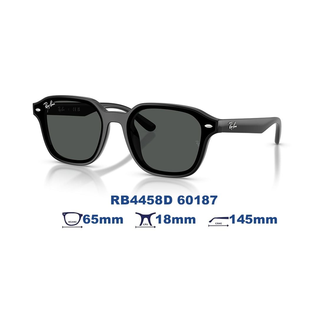  Kính mát RAYBAN RRB4458D 60187 