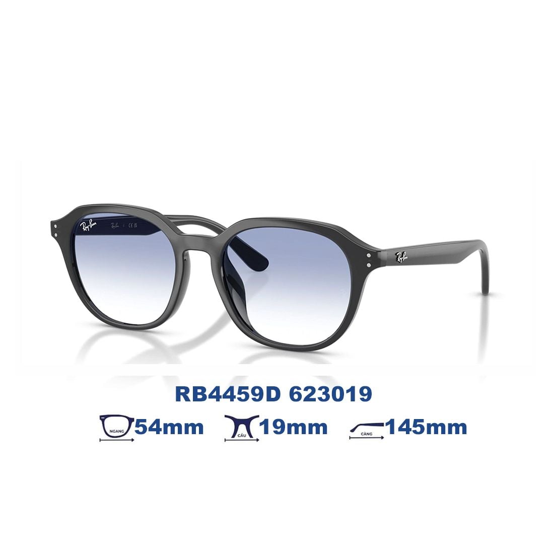  Kính mát RAYBAN RB4459D 623019 