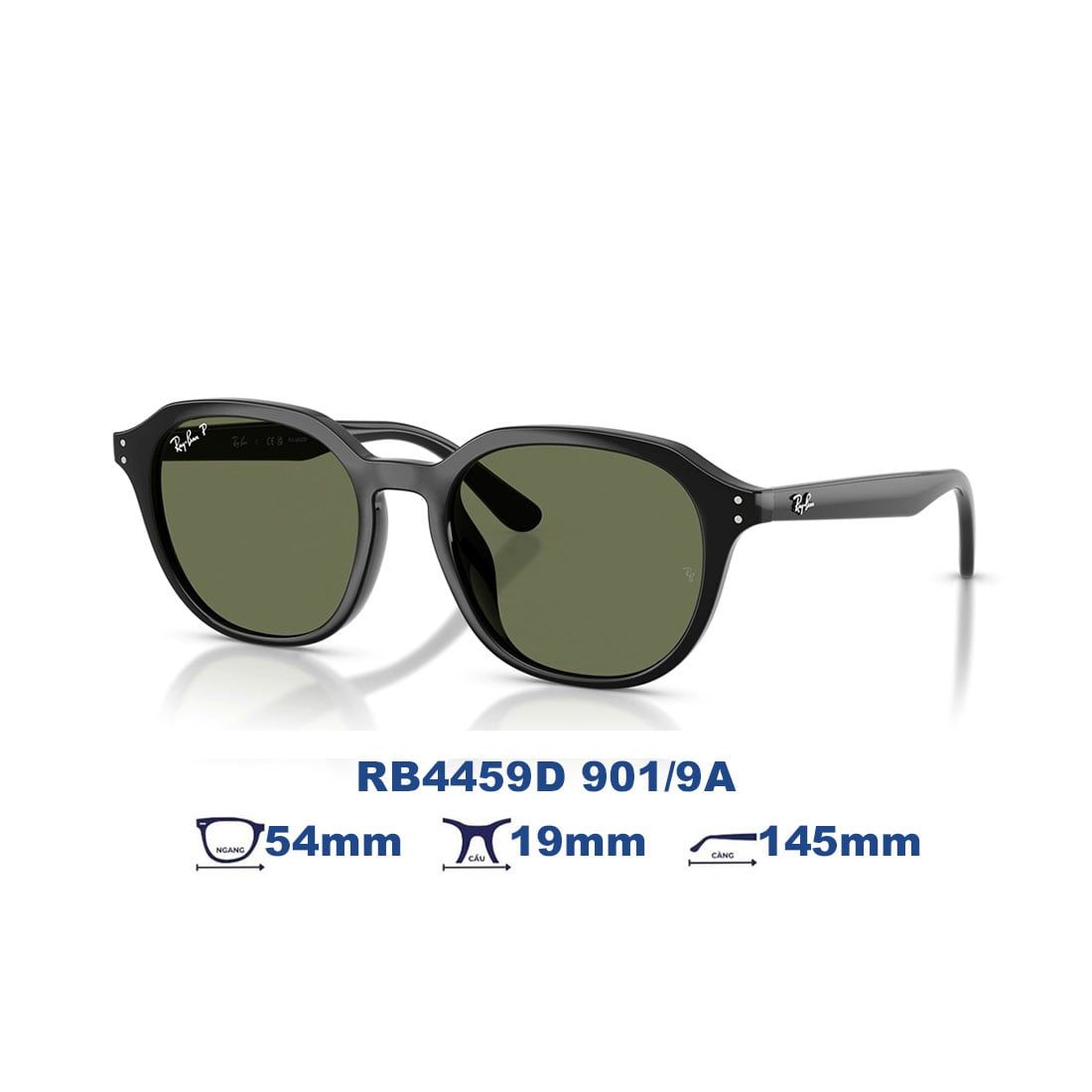  Kính mát RAYBAN RB4459D 901/9A 