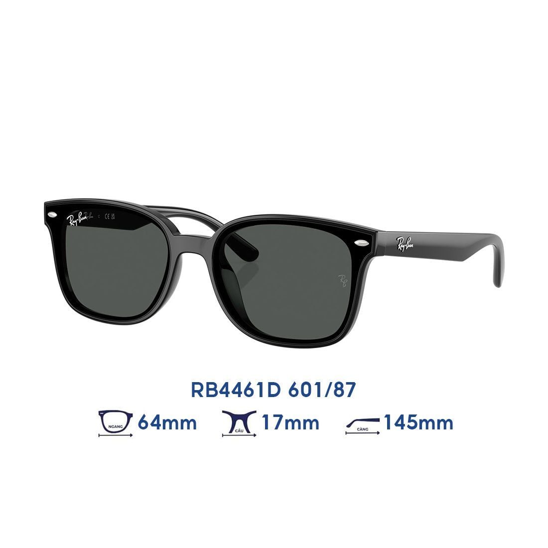  Kính mát RAYBAN RB4461D 601/87 