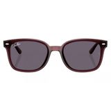 Kính mát RAYBAN RB4461D 659373