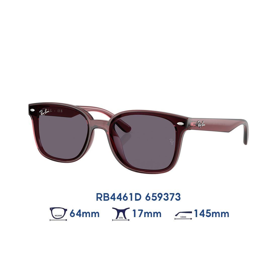 Kính mát RAYBAN RB4461D 659373