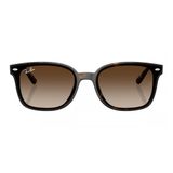 Kính mát RAYBAN RB4461D 71013