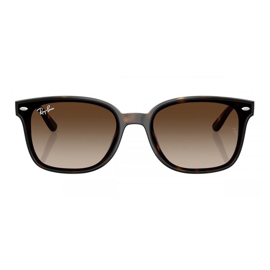 Kính mát RAYBAN RB4461D 71013