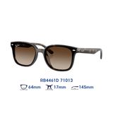 Kính mát RAYBAN RB4461D 71013
