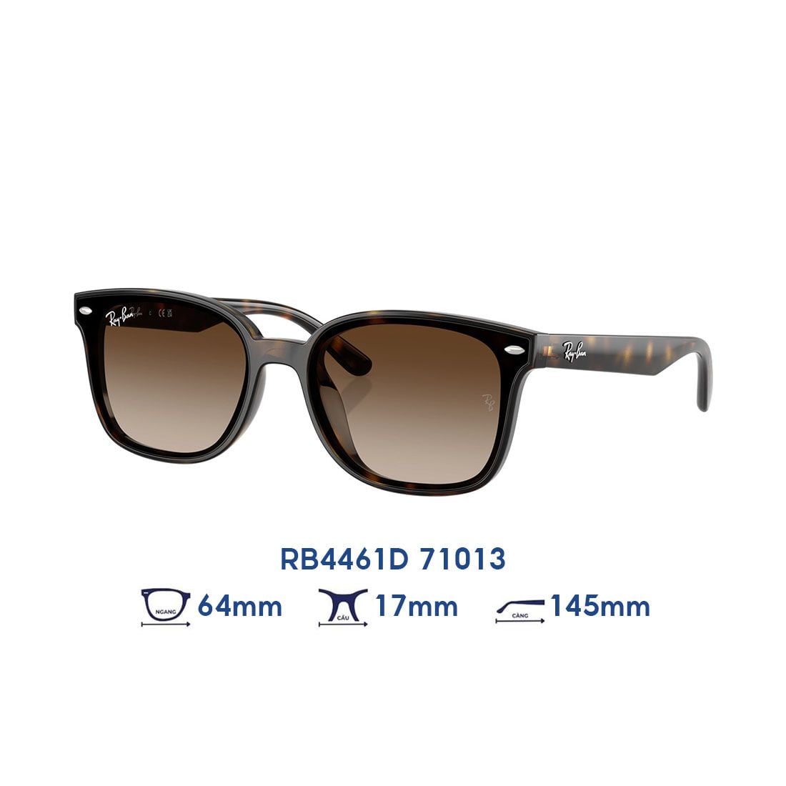 Kính mát RAYBAN RB4461D 71013