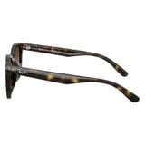 Kính mát RAYBAN RB4461D 71013