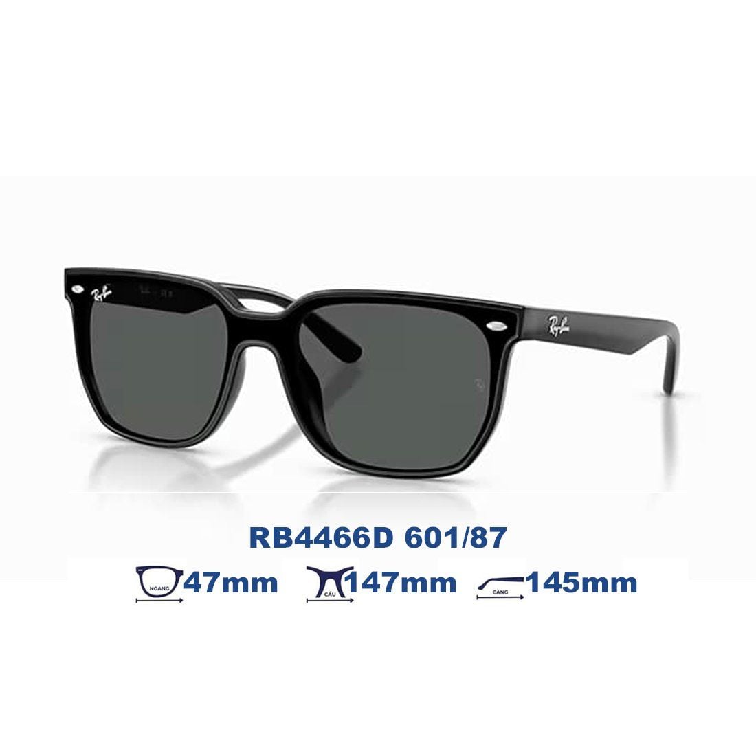 Kính mát RAYBAN RB4466D 601/87