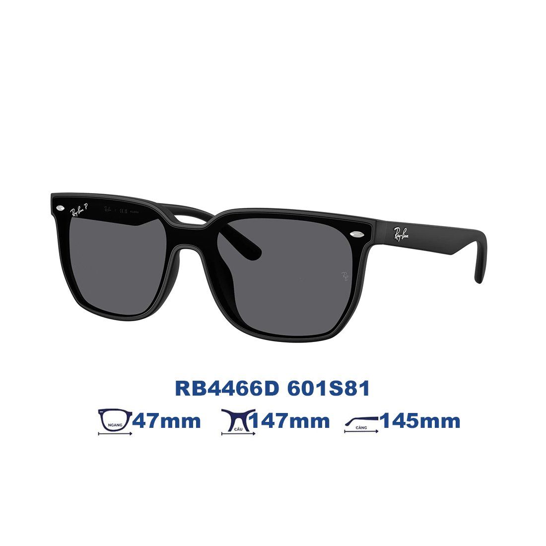 Kính mát RAYBAN RB4466D 601S81
