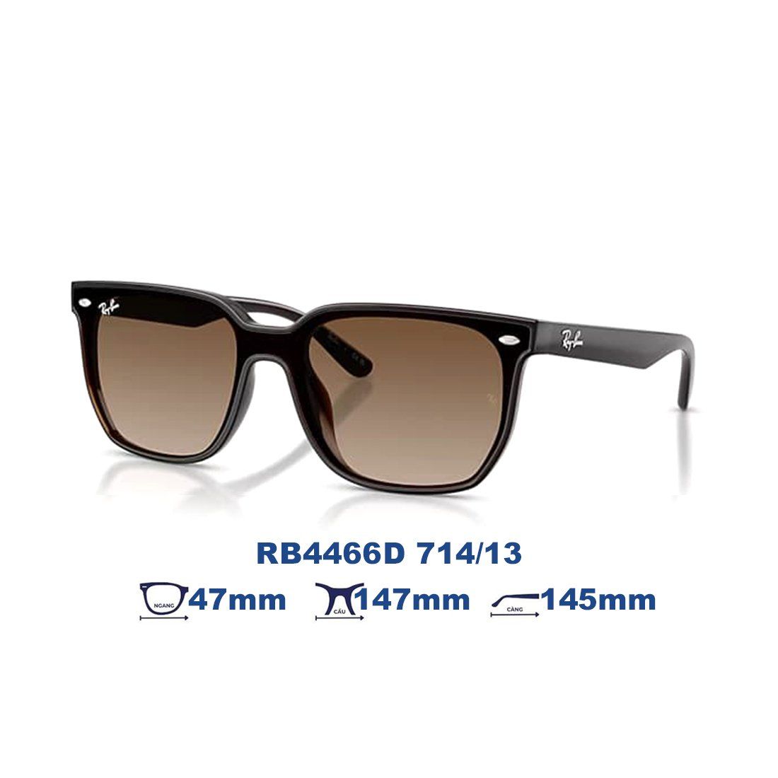 Kính mát RAYBAN RB4466D 714/13