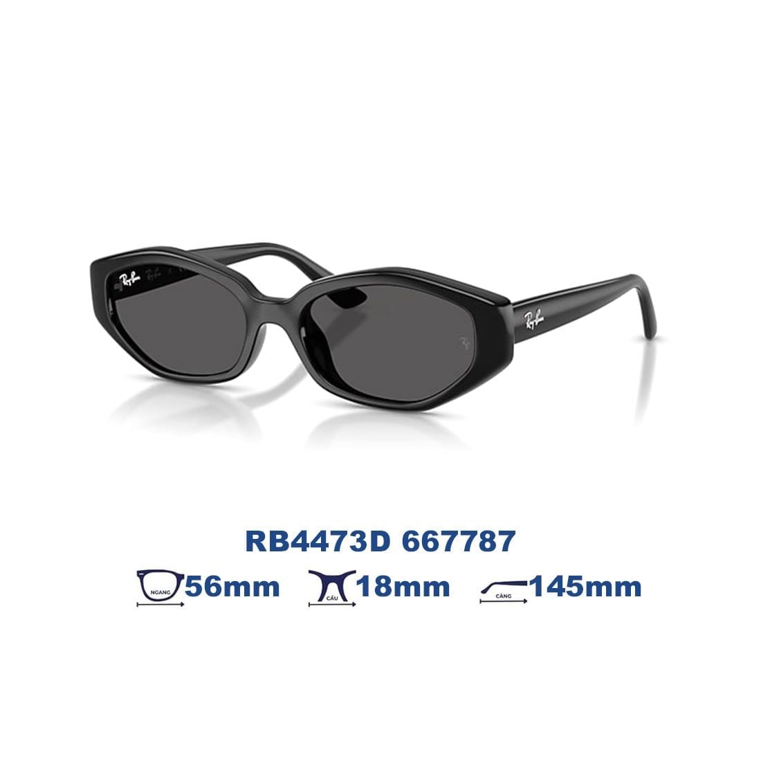 Kính mát RAYBAN RB4473D 667787 