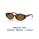  Kính mát RAYBAN RB4473D 71483 