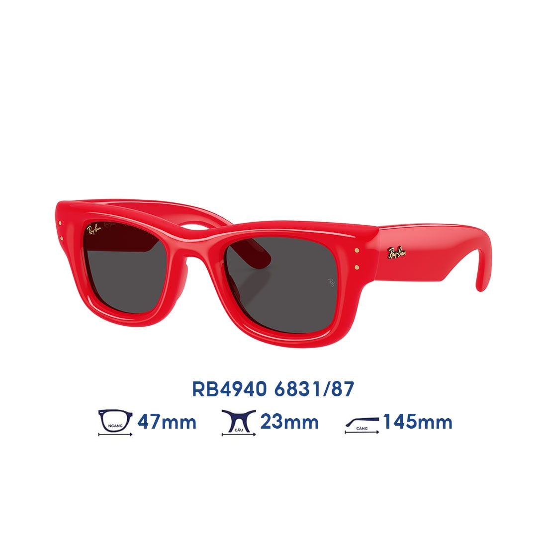 Kính mát RAYBAN RB4940 6831/87