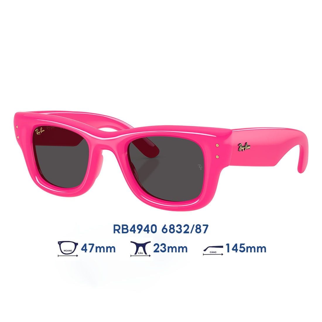 Kính mát RAYBAN RB4940 6832/87