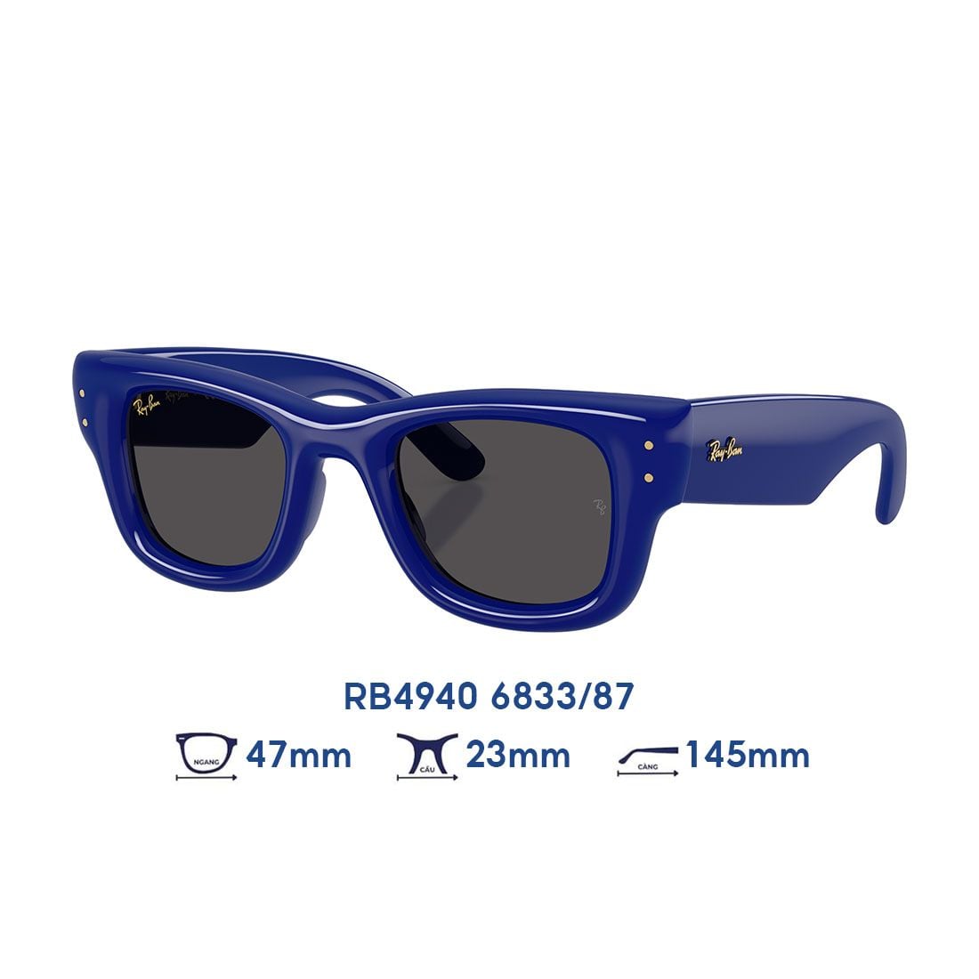 Kính mát RAYBAN RB4940 6833/87