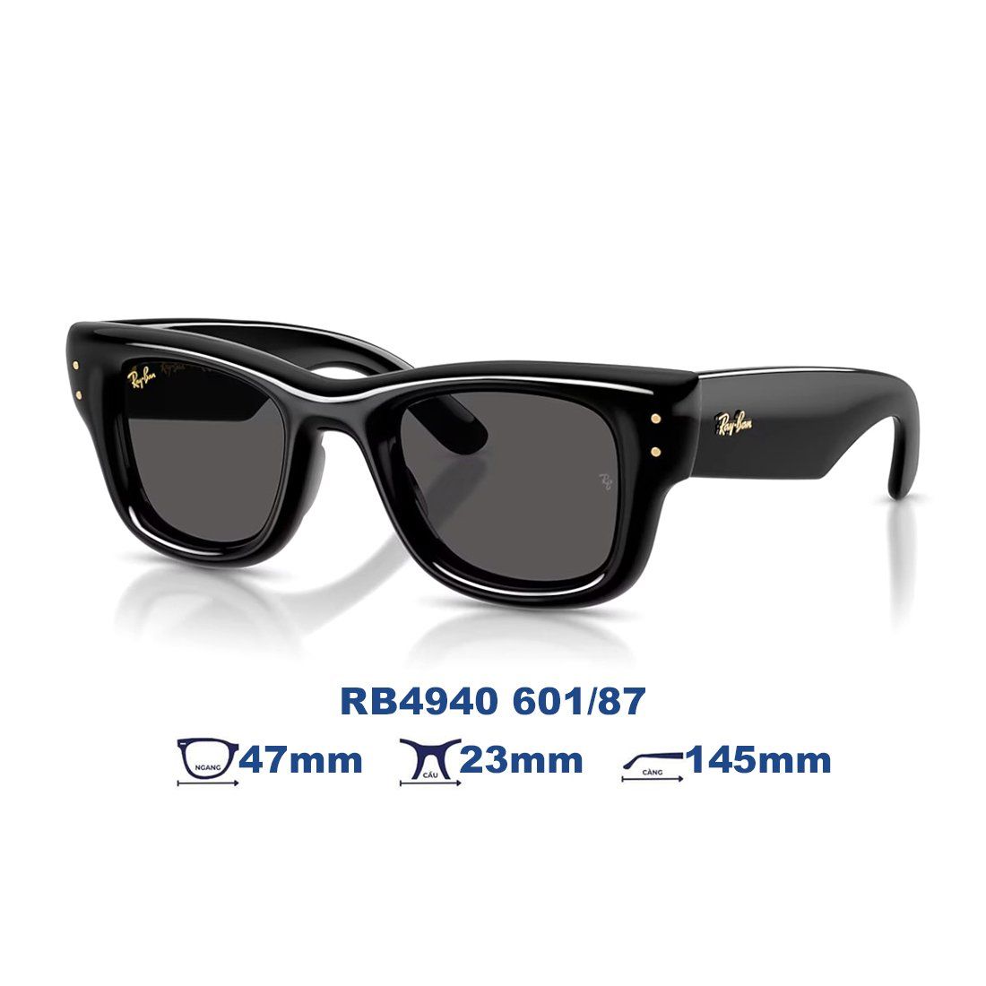 Kính mát RAYBAN RB4940 601/87