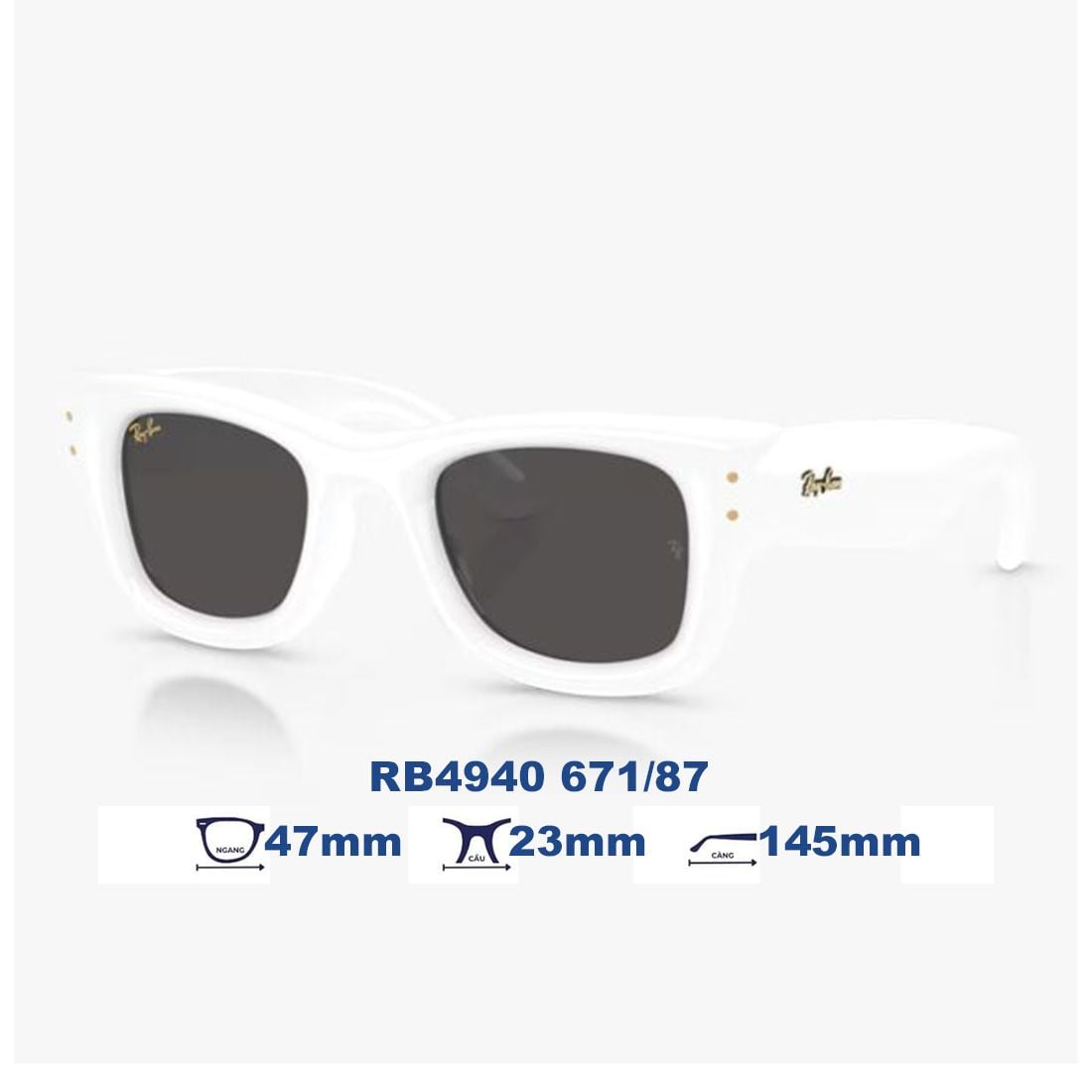 Kính mát RAYBAN RB4940 671/87