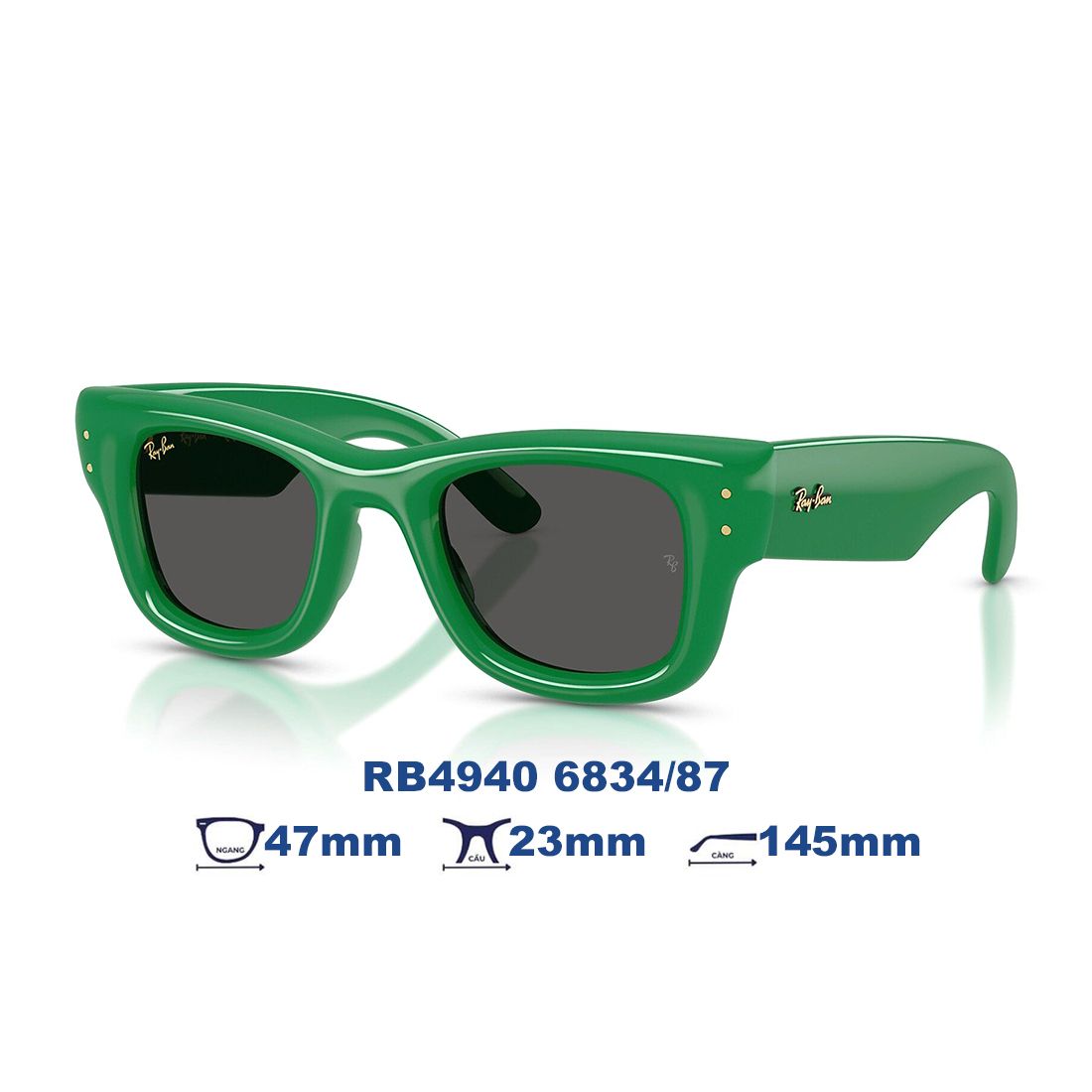  Kính mát RAYBAN RB4940 6834/87 