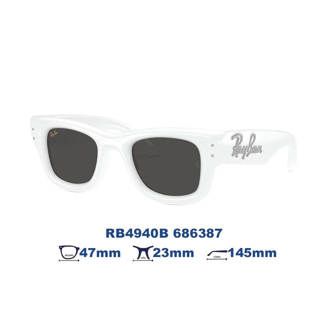 Kính mát RAYBAN RB4940B 686387 