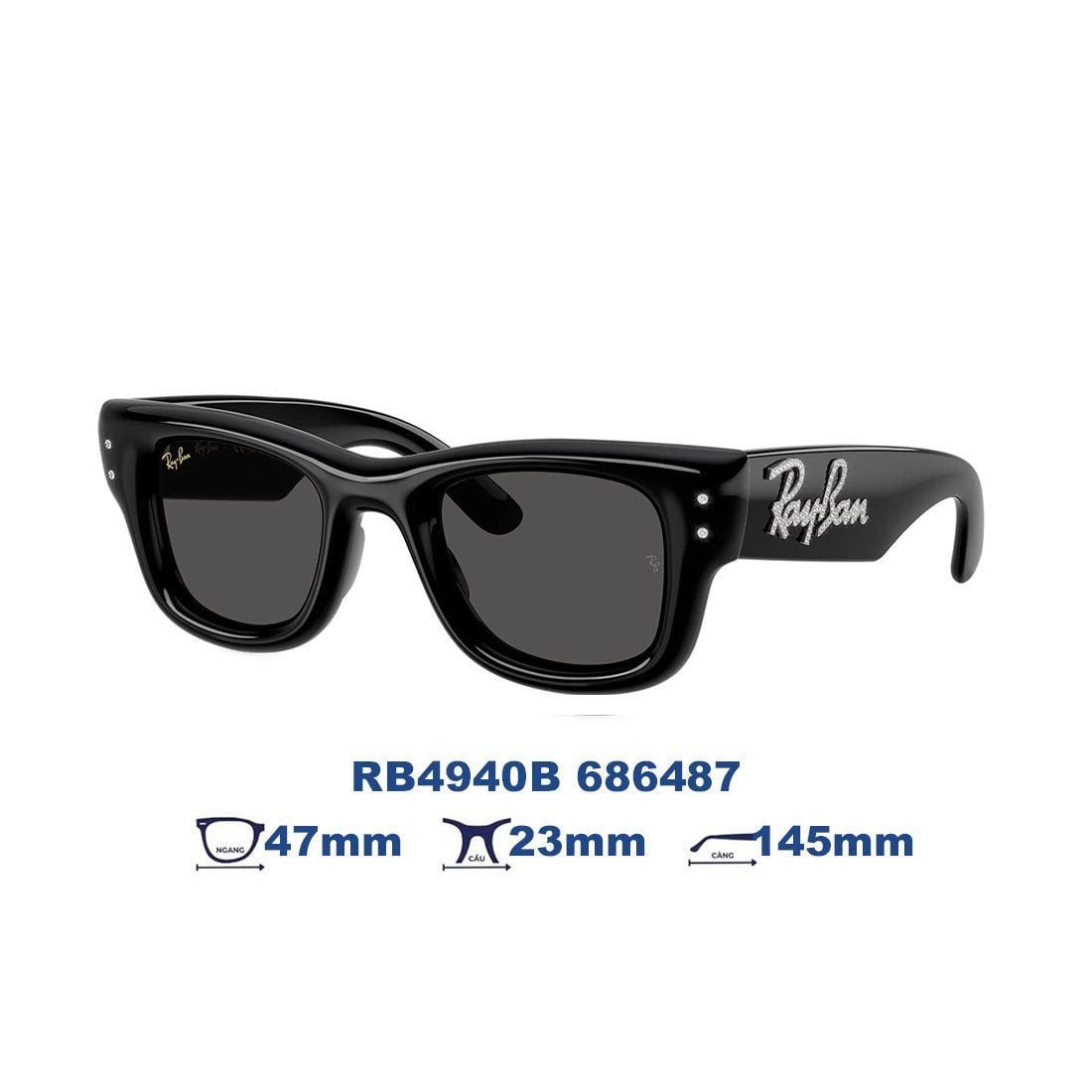 Kính mát RAYBAN RB4940B 686487 