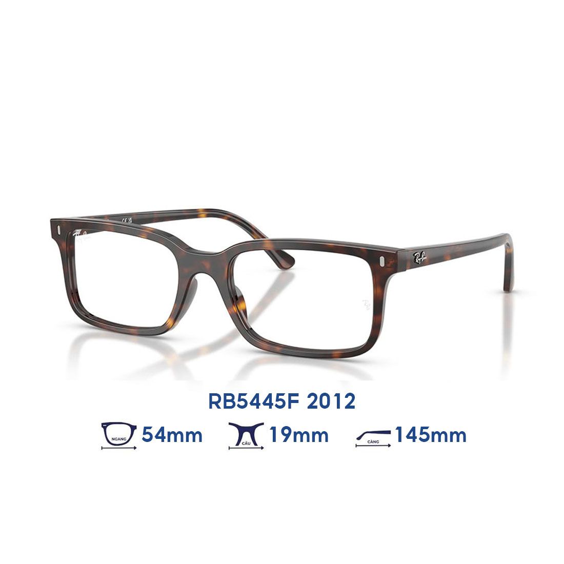 Gọng kính RAYBAN RB5445F 2012