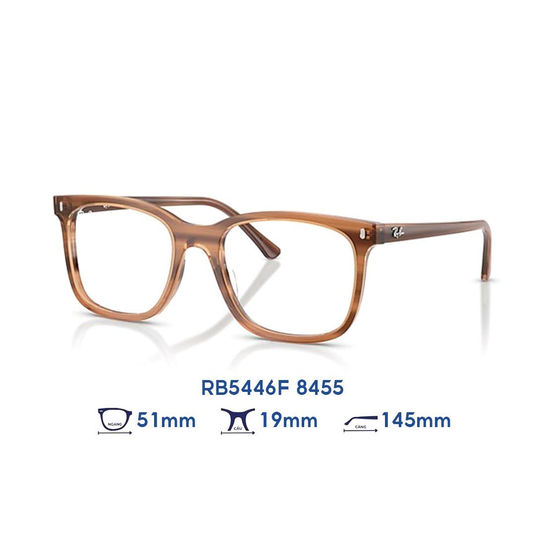 Gọng kính RAYBAN RB5446F 8455