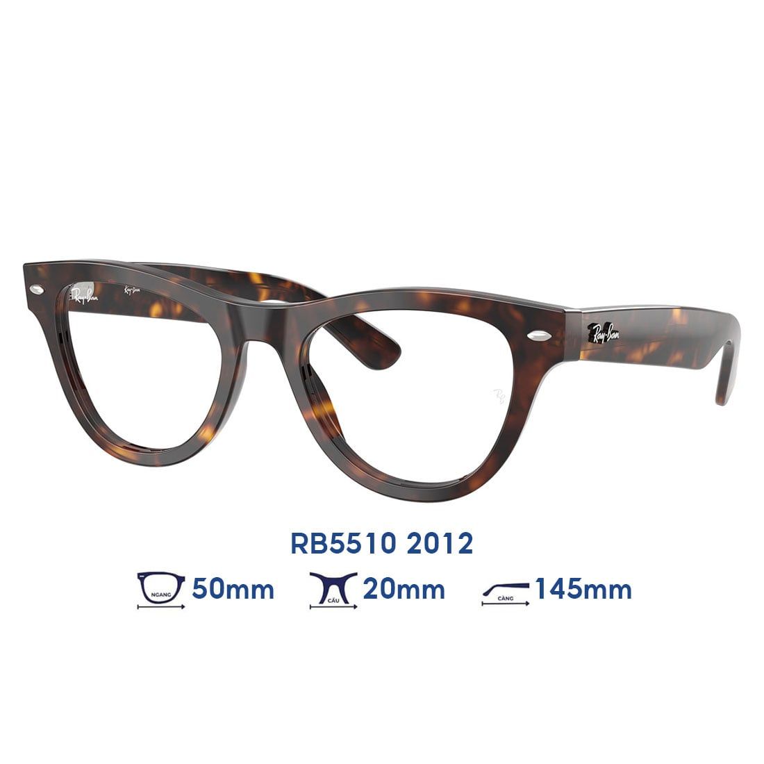 Gọng kính RAYBAN RB5510 2012