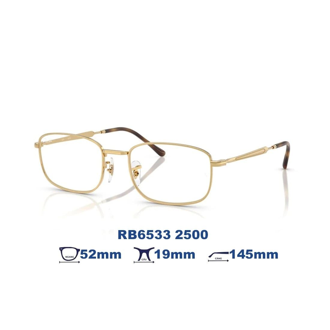  Gọng kính RAYBAN RB6533 2500 