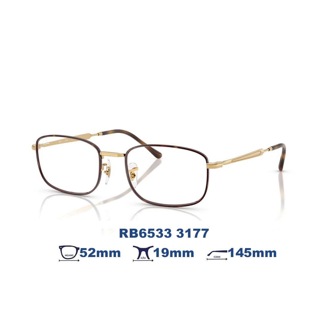  Gọng kính RAYBAN RB6533 3177 