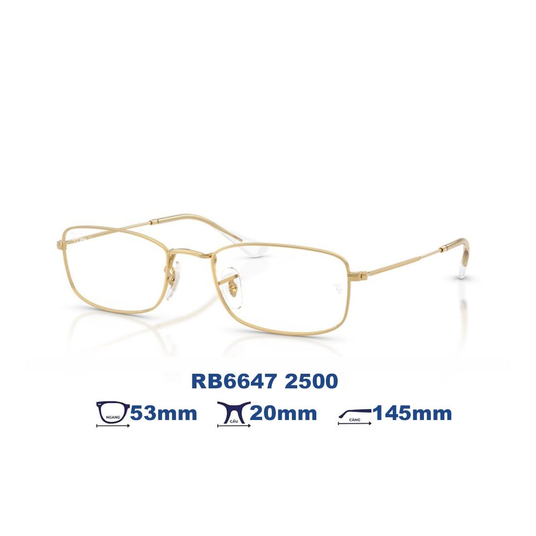  Gọng kính RAYBAN RB6647 2500 