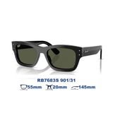  Kính mát RAYBAN RB7683S 901/31 