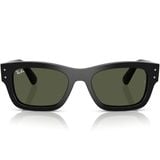  Kính mát RAYBAN RB7683S 901/31 