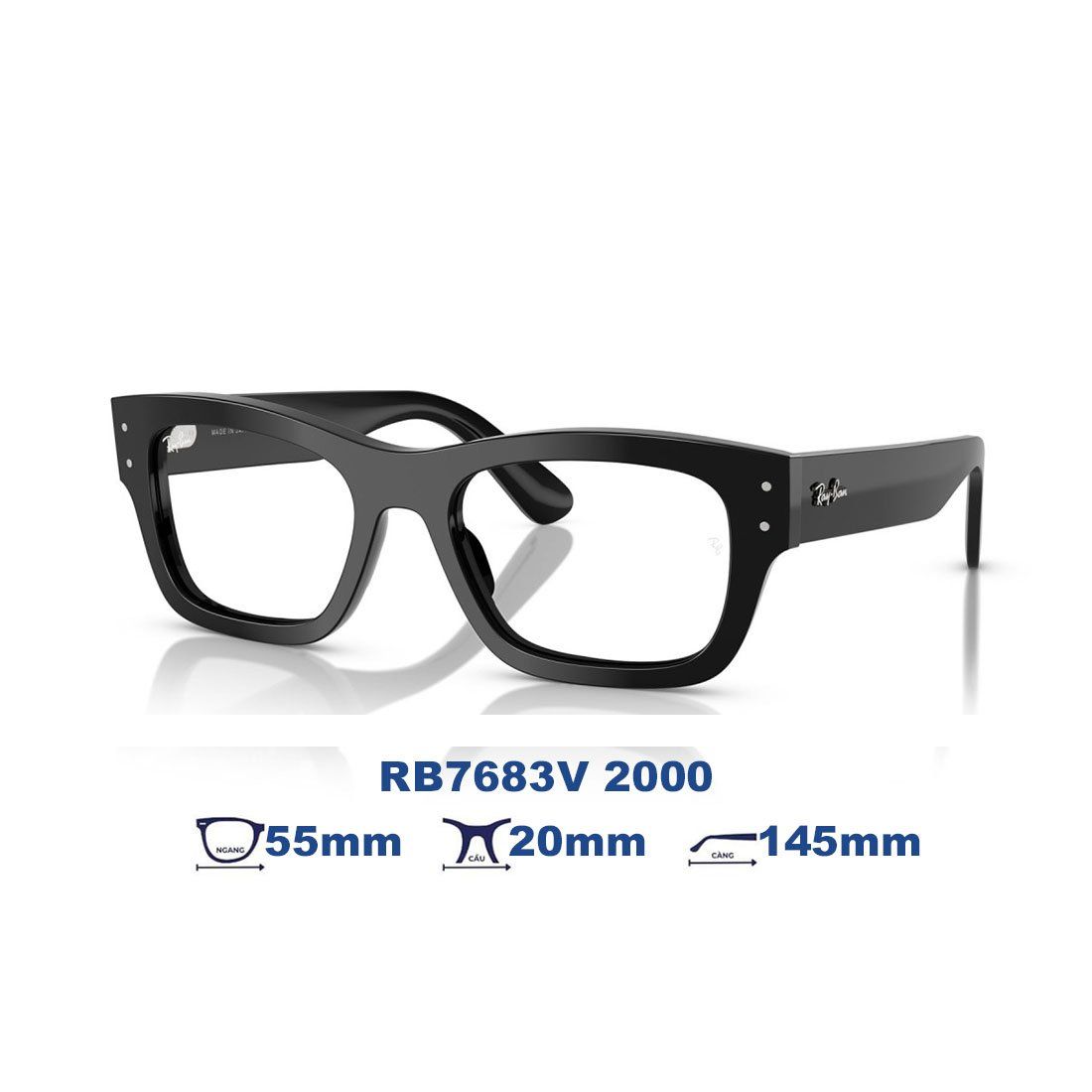  Gọng kính RAYBAN RB7683V 2000 