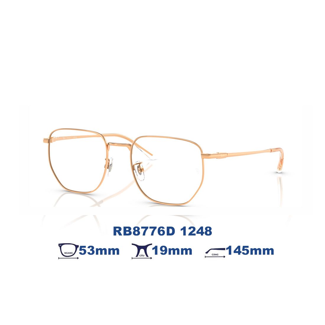  Gọng kính RAYBAN RB8776D  1248 