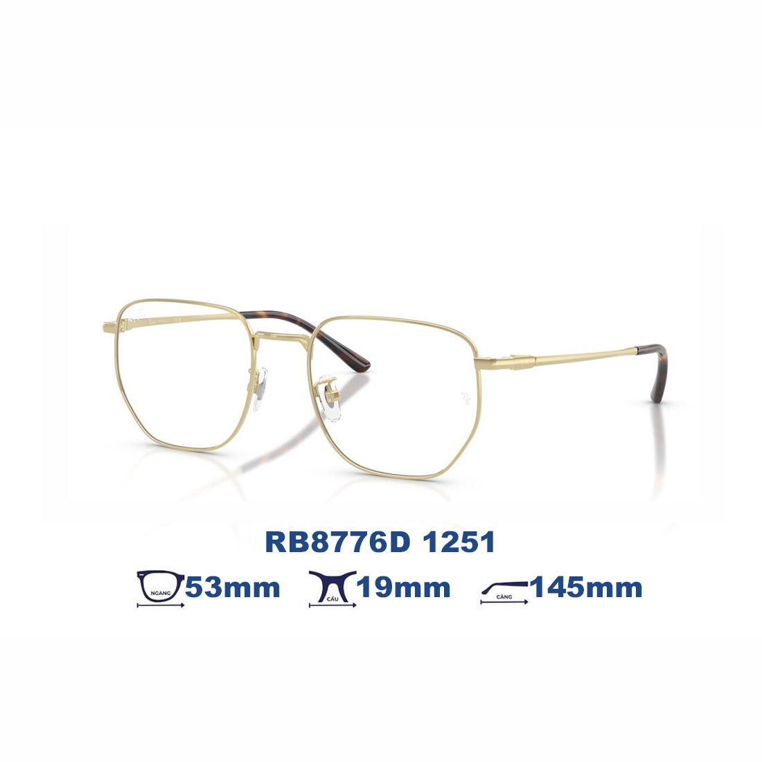  Gọng kính RAYBAN RB8776D 1251 