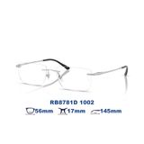  Gọng kính RAYBAN RB8781D 1002 