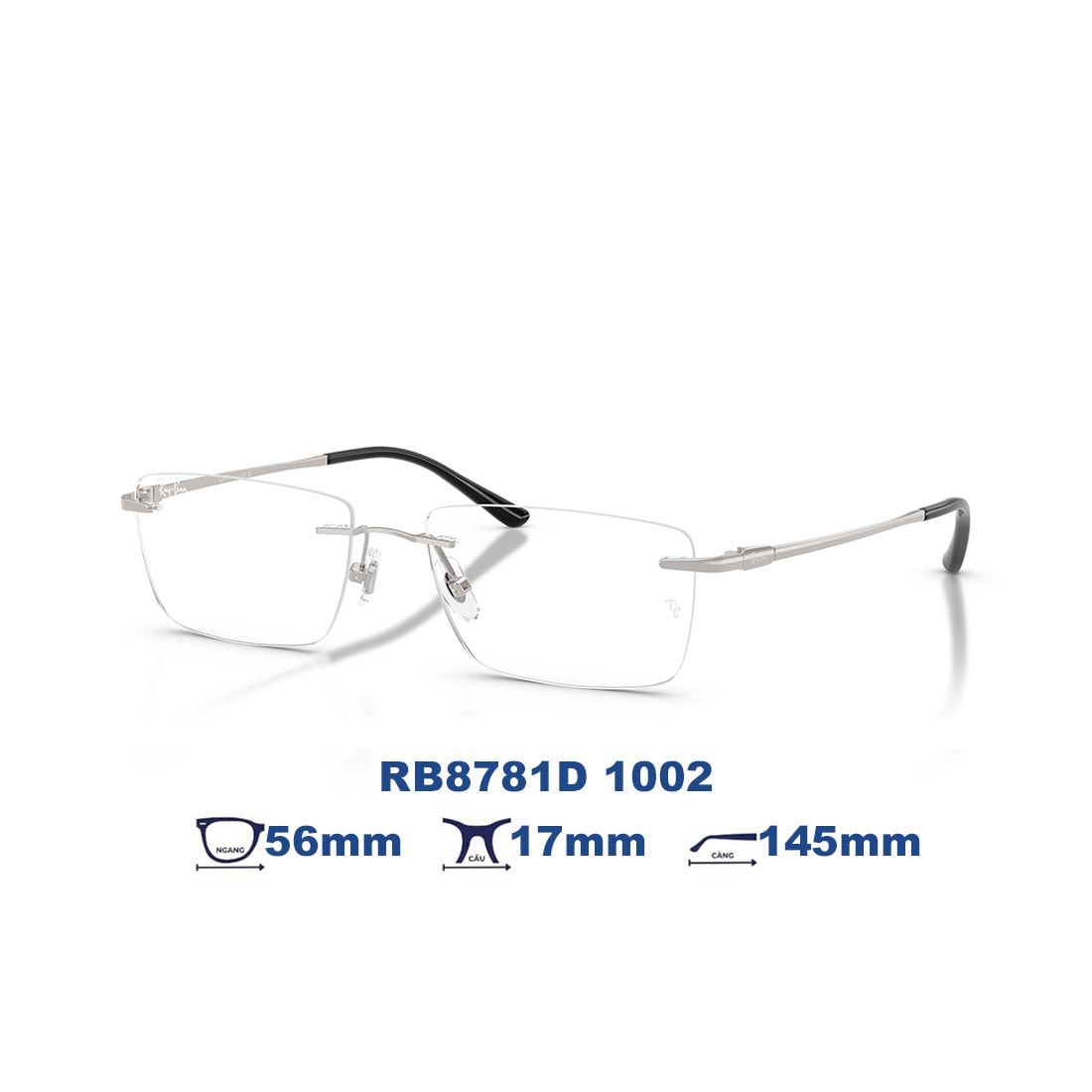  Gọng kính RAYBAN RB8781D 1002 