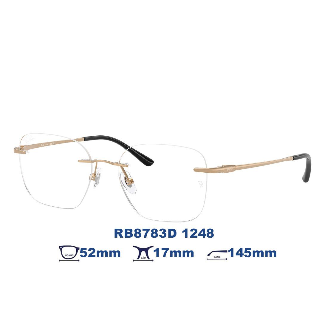 Gọng kính RAYBAN RB8783D 1248