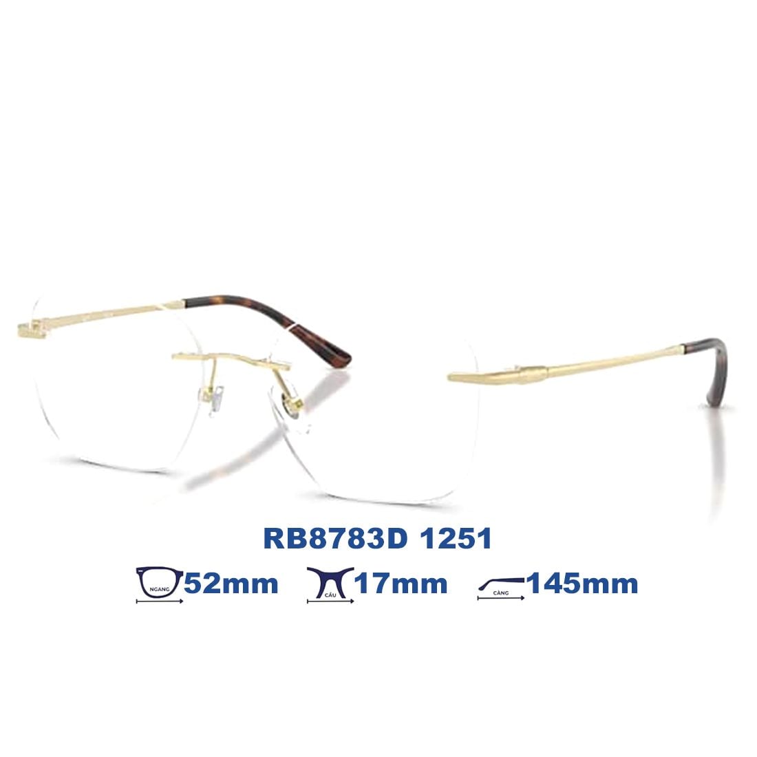 Gọng kính RAYBAN RB8783D 1251