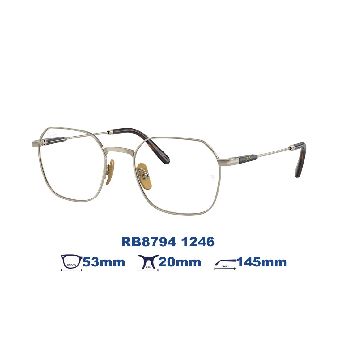 Gọng kính RAYBAN RB8794 1246