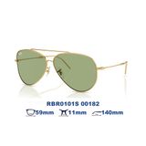  Kính mát RAYBAN RBR0101S 00182 