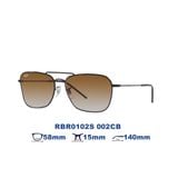 Kính mát RAYBAN RBR0102S 002/CB