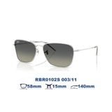  Kính mát RAYBAN RBR0102S 003/11 